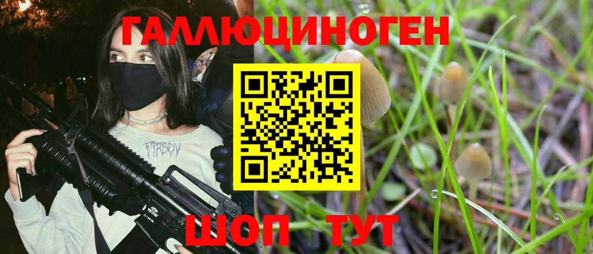 Солнечногорск  Псилоцибиновые грибы Cubensis  Галлюциногенные грибы мухоморы  Вход с VPN 